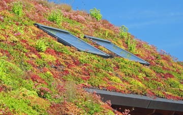 Runcton living roof systems